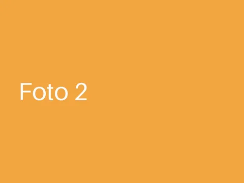 Beispielfoto 2 vom Sommerfest