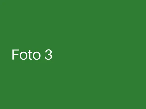Beispielfoto 3 vom Sommerfest