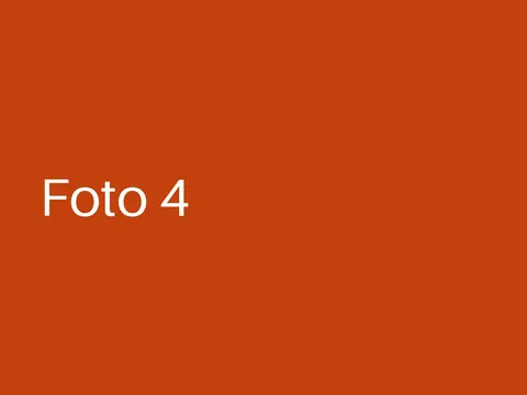 Beispielfoto 4 vom Sommerfest