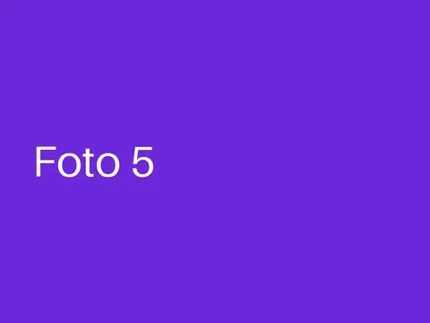 Beispielfoto 5 vom Sommerfest