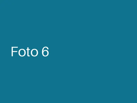 Beispielfoto 6 vom Sommerfest